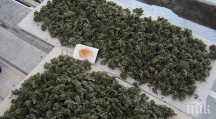 годишен скатава марихуана вкъщи