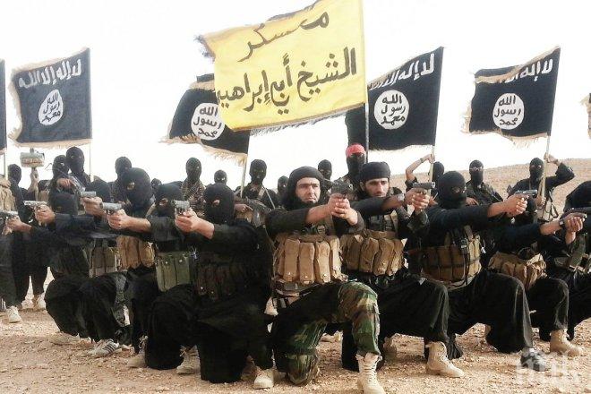 Испанските власти закопчаха трима вербовчици на „Ислямска държава”