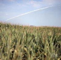 Между 2003 и 2013 година около 4 милиона земеделски стопанства в ЕС са били закрити