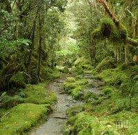 В Русия хванаха мъж, крил се 10 г. в гората, за да избегне военна служба