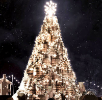 Коледната елха в Плевен светва тази седмица
