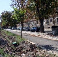 Пловдивски проститутки вече дебнат клиенти от храстите, крият се от камери (снимки)