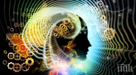 любими цитати подсъзнанието всичко докажат можеш всичко