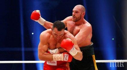 палми ранчев фюри играе свински бокс