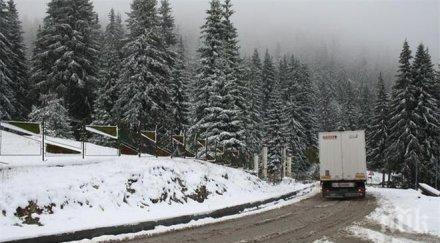 идва сух топъл декември градуса топлят коледа