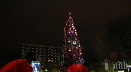 палят светлините коледната елха софия