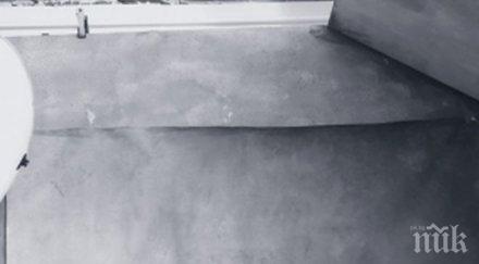 серина звездата новия календар пирели