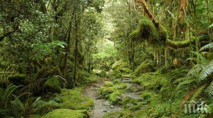 русия хванаха мъж крил гората избегне военна служба