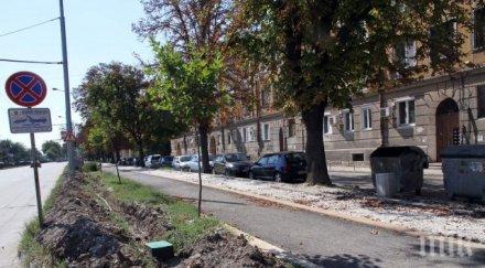 пловдивски проститутки вече дебнат клиенти храстите крият камери снимки