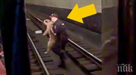 човечност достойна възхищение