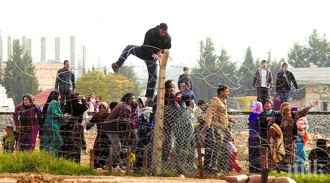 800 мигранти са блокирани зад телената ограда на гръцката граница с Македония 