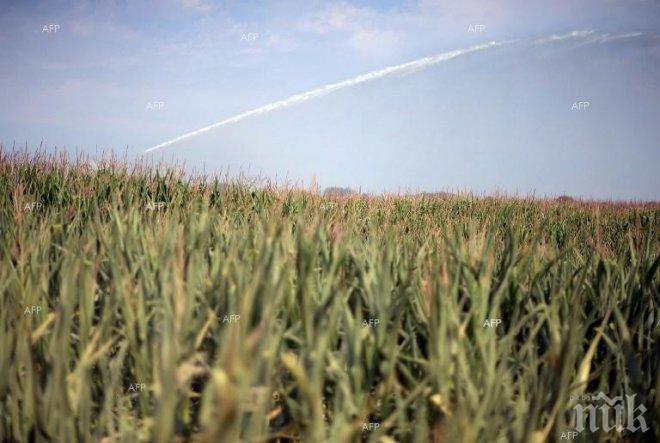 Между 2003 и 2013 година около 4 милиона земеделски стопанства в ЕС са били закрити