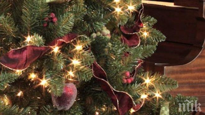 Коледните лампички могат да забавят безжичния ви интернет 
