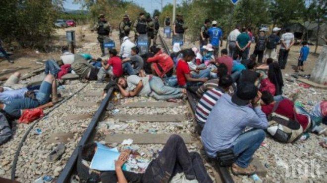 Загуби за милиони евро за гръцката железопътна компания заради блокадата на македонската граница