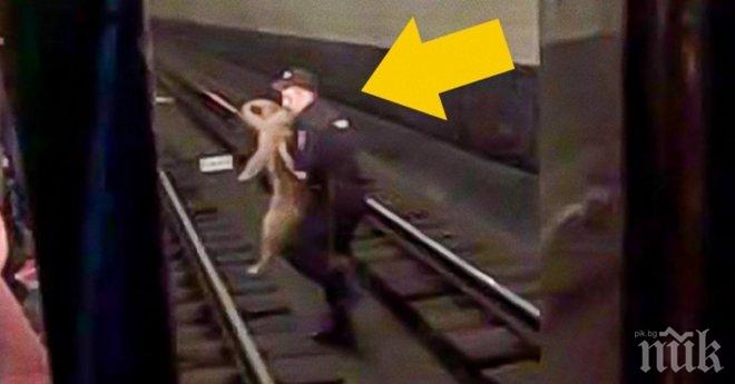 Човечност, която е достойна за възхищение!