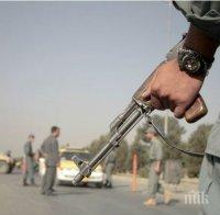 Австралия в ужас! Човек с оръжие-играчка е предизвикал паника в австралийския град Бризбейн