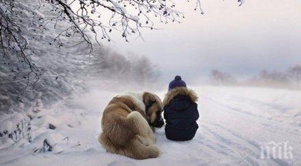 страхотни снимки щастливи деца накарат почувстваш радостта зимния сезон