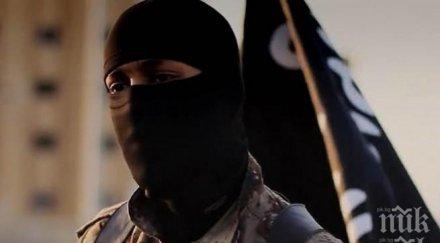 300 граждани косово сражават терористите сирия ирак