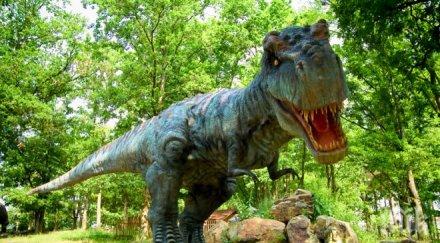 динозаври бродели плитчините шотландия