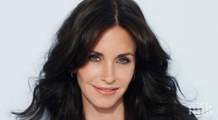 кортни кокс отмени сватбата