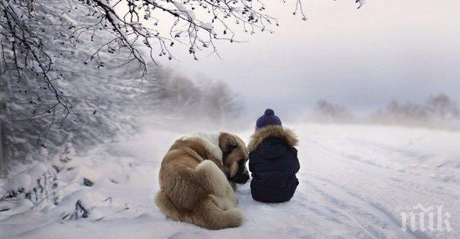 Страхотни снимки на щастливи деца, които ще те накарат да почувстваш радостта от зимния сезон!