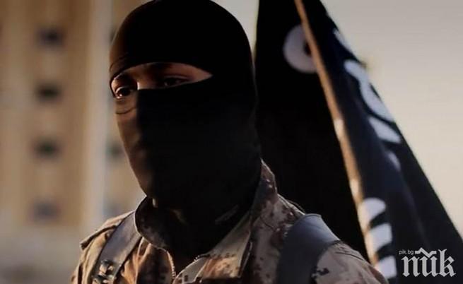 300 граждани на Косово се сражават за терористите в Сирия и Ирак 