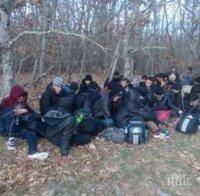 Бежанци пренасят зарази по добитъка