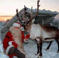 Дядо Коледа полетя над Благоевград с шейната, теглена от елена Рудолф 
