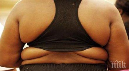 четири трансплантации