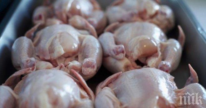 НАП предотврати опит за фиктивен износ на 8 тона пилешко