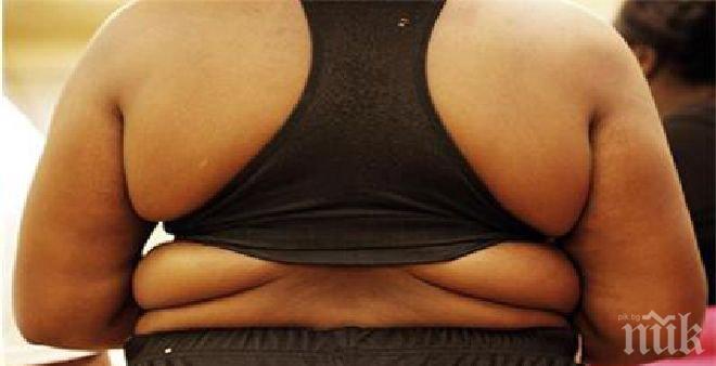 Четири нови трансплантации