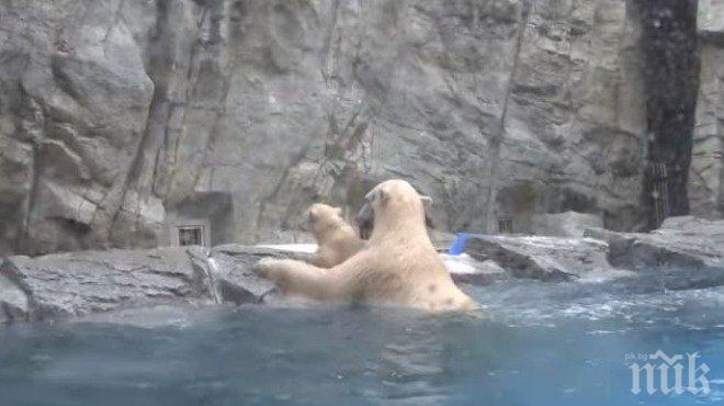 САМО МАМА може да направи това за детето си! Уникално