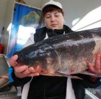 Рибарско селище в центъра на Бургас