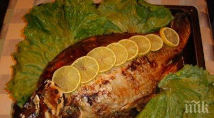 шаранът пъстървата сомът предпочитани софиянци никулден