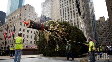йорк таймс пръв път редакционна статия първа страница