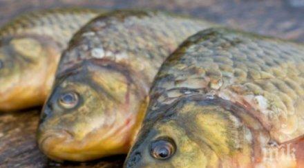 родих лодка татко молеше николай