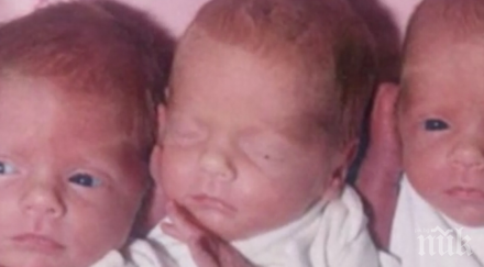 бъдещи родители обучават безплатно