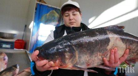 рибарско селище центъра бургас