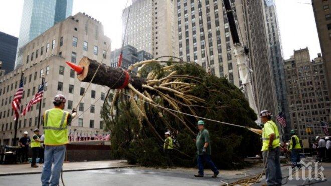 „Ню Йорк Таймс“ - за пръв път от 95 г. с редакционна статия на първа страница