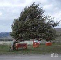 Ураганен вятър остави без ток над 20 хиляди души в Литва