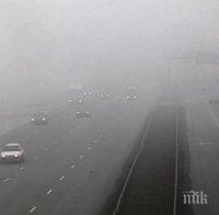 Гъста мъгла затруднява движението на автомобили в столицата
