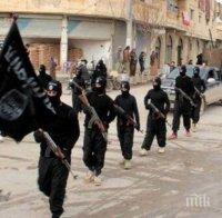 Чуждестранните джихадисти в Сирия и Ирак са вече двойно повече 