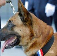 Русия подари ново полицейско куче на Франция, което да замести загиналия при акция Дизел