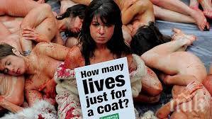 защитници животните направиха гол протест центъра барселона