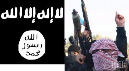 извънредно вижте действат джихадистите появи нов правилник управление ислямска държава