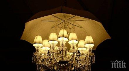 вижте приготвя магнетичния октопод българия каза бояна невероятна градина