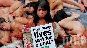 Защитници на животните направиха гол протест в центъра на Барселона