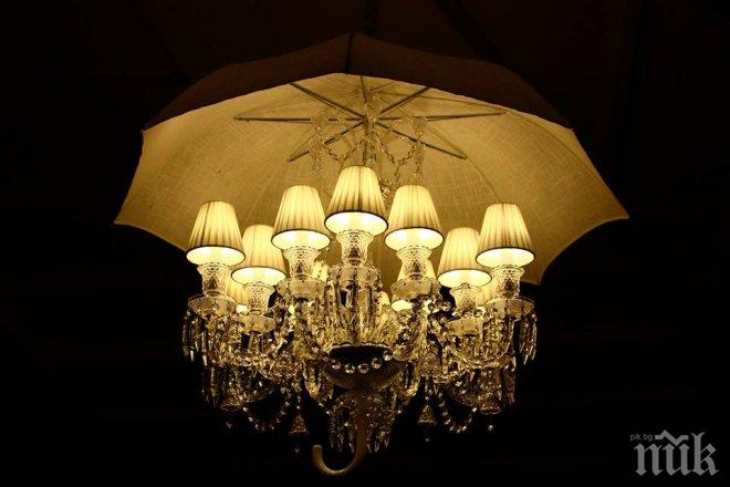 Вижте къде се приготвя най-магнетичния октопод в България! Каза Бояна с невероятна градина!