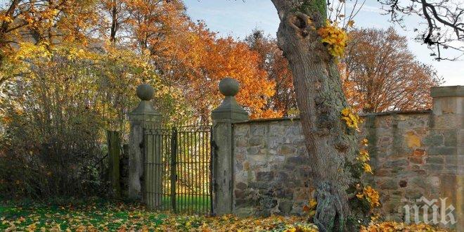 Гола жена се крие в тази картина. Можеш ли да я намериш?