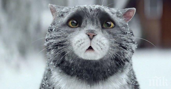 Низ от събития рушат съдбата на едно семейство. Може ли да се върне всичко обратно и да се спаси положението?